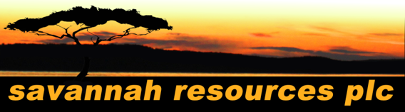 Logo SAV 2.png